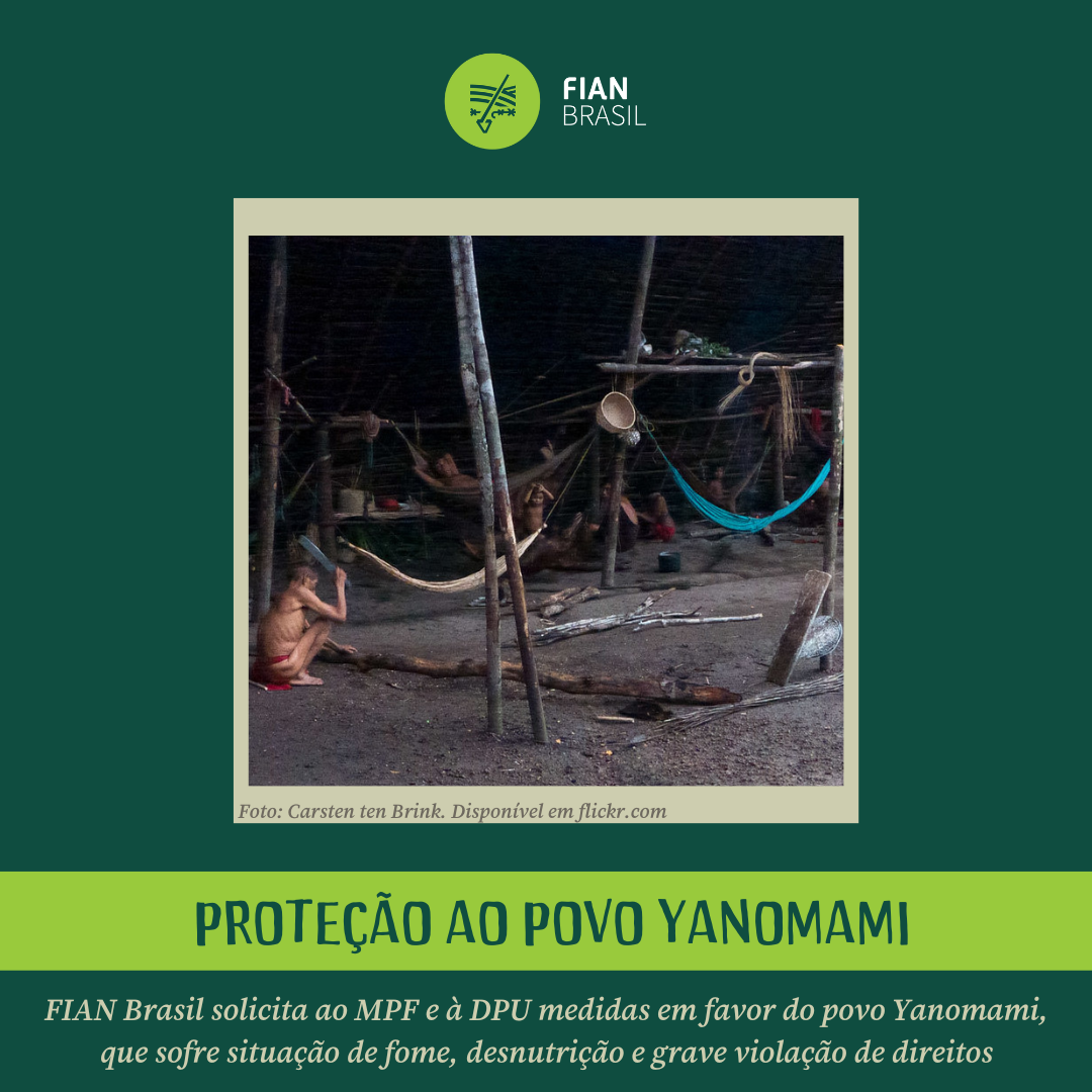 FIAN Brasil solicita ao MPF e à DPU medidas em favor do povo indígena Yanomami, que sofre situação de fome, desnutrição e grave violação de direitos